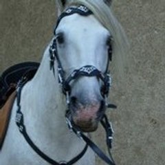 laurette_31