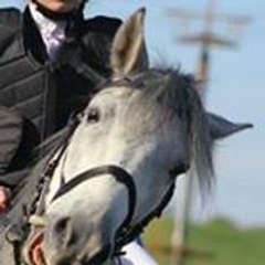 kalou97410