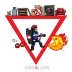CAREIS