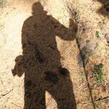 Alain Létévé Padioleau