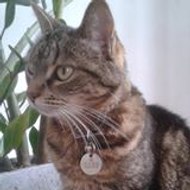 Jean-François Urbaniak