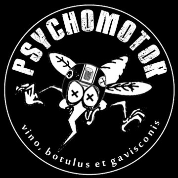 Profil DailyMotion de l&rsquo;utilisateur thepsychomotor