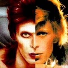 The Diamond Dogs Channel