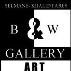 selmanekhalidfares