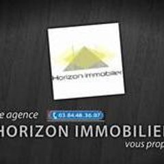 horizonimmobilier39
