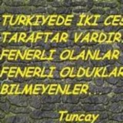 Fenerbahçeli Bedrettin
