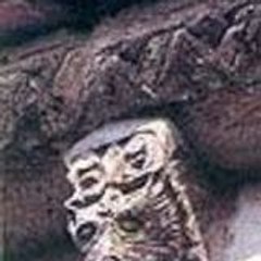 Robert