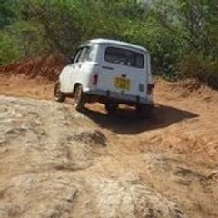 Sava-Toulouse Madagascar