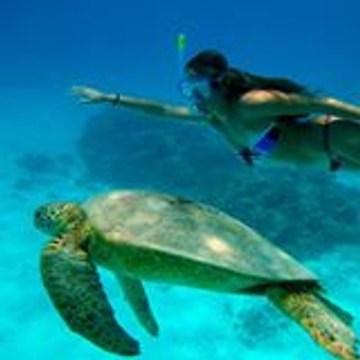 Anne-Cécile Vallance