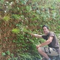 Kit Kit Mur Vegetal