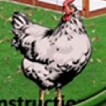 buildchickencoop