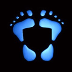 piedprod