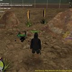 Majde Eddine Yahyaoui