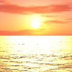 Sarah Sausseau Rasinski