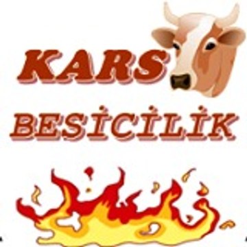 Kars Besicilik