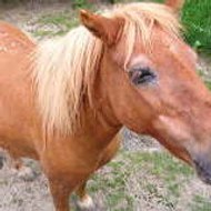 Cathy  manuel Delrue