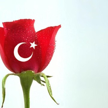 karacayirkoyu317