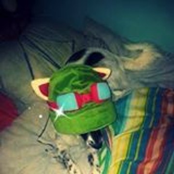 Adoptez_Les