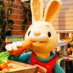 Henri le lapin par Babyfirst