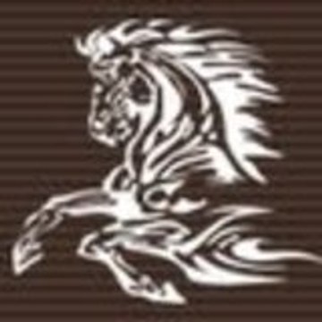 anywebdirectory