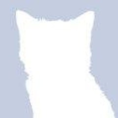 the_slim_kat