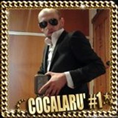 Laurenţiu-Iulian M. Popa