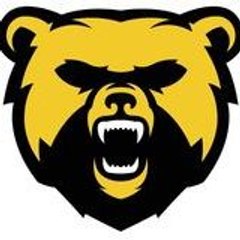Andenne Bears