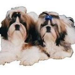 regine-bouvard-contet