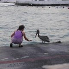 Isabelle Belou-magrit