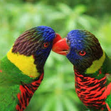 masaj salonu masoz kadıköy istanbul