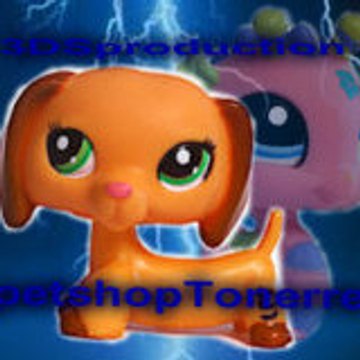 petshoptonerre
