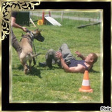 wwwalecouteduchiencom