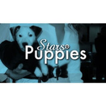 StarsPuppies