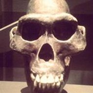 Coqueirinho Frederico