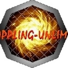 THE MINOTAURE WEBMASTER