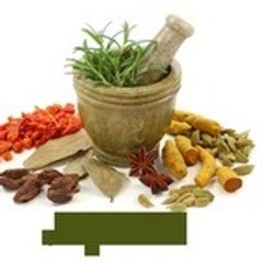 Ajithkumar Chandramouli