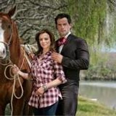 novela