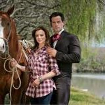 novela