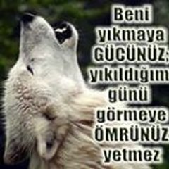 Serdar Akın
