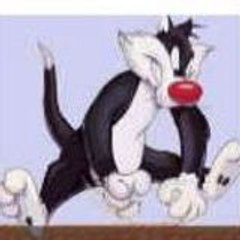 dailyminet