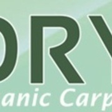 dryexcarpet