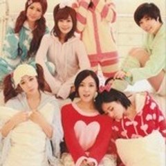 T-ARA Royal Subbing Team