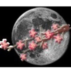 MoonSakura