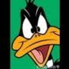 daffy121212