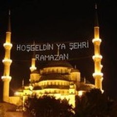 Sedef Tekin