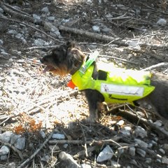 chasse06