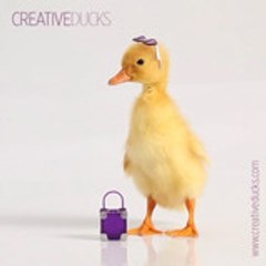 creativeducks