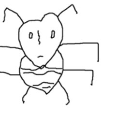 dge