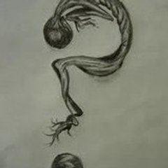 elkapon HypNoSe