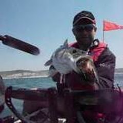 GuiFishing
